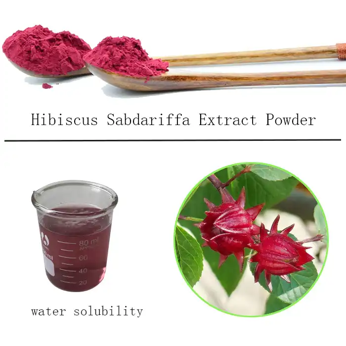 Hibiscus Sabdariffa Extract Powder Factory.jpg